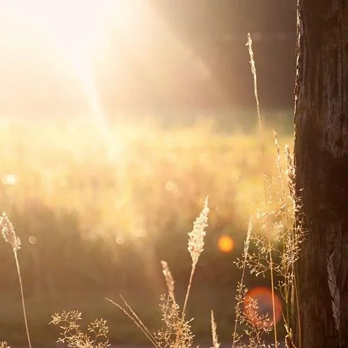 accompagnement-individuel-intention