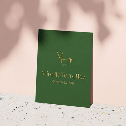 charte-graphique-logo-mireille-terrettaz